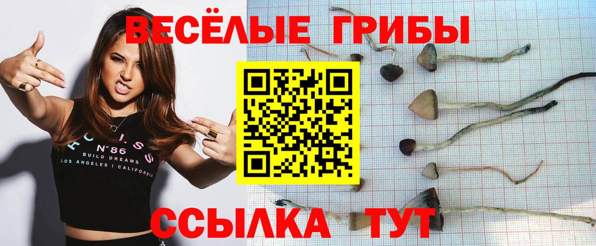 Галлюциногенные грибы ЛСД Екатеринбург